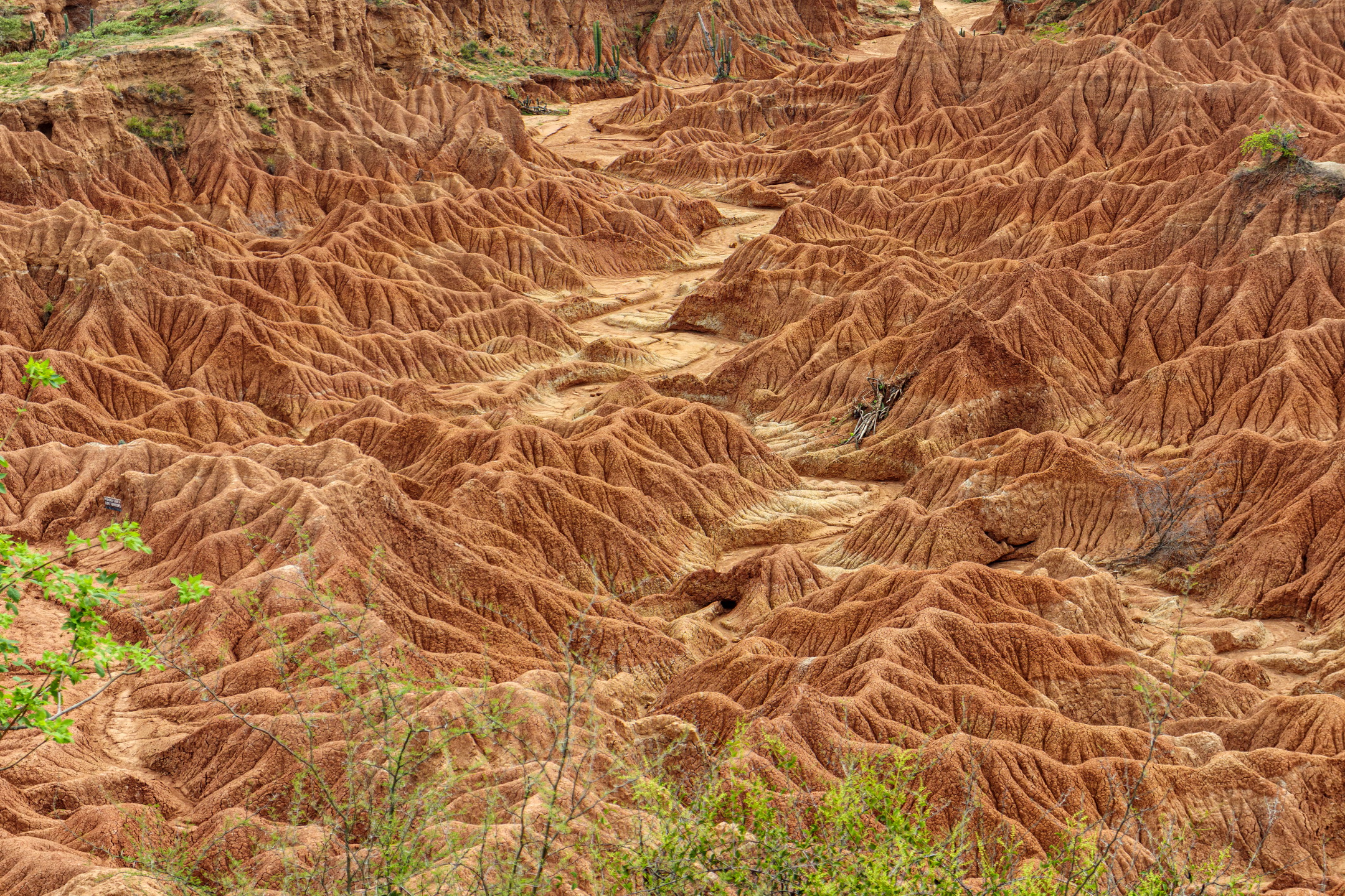 Desierto de la Tatacoa – Colombia (2023)