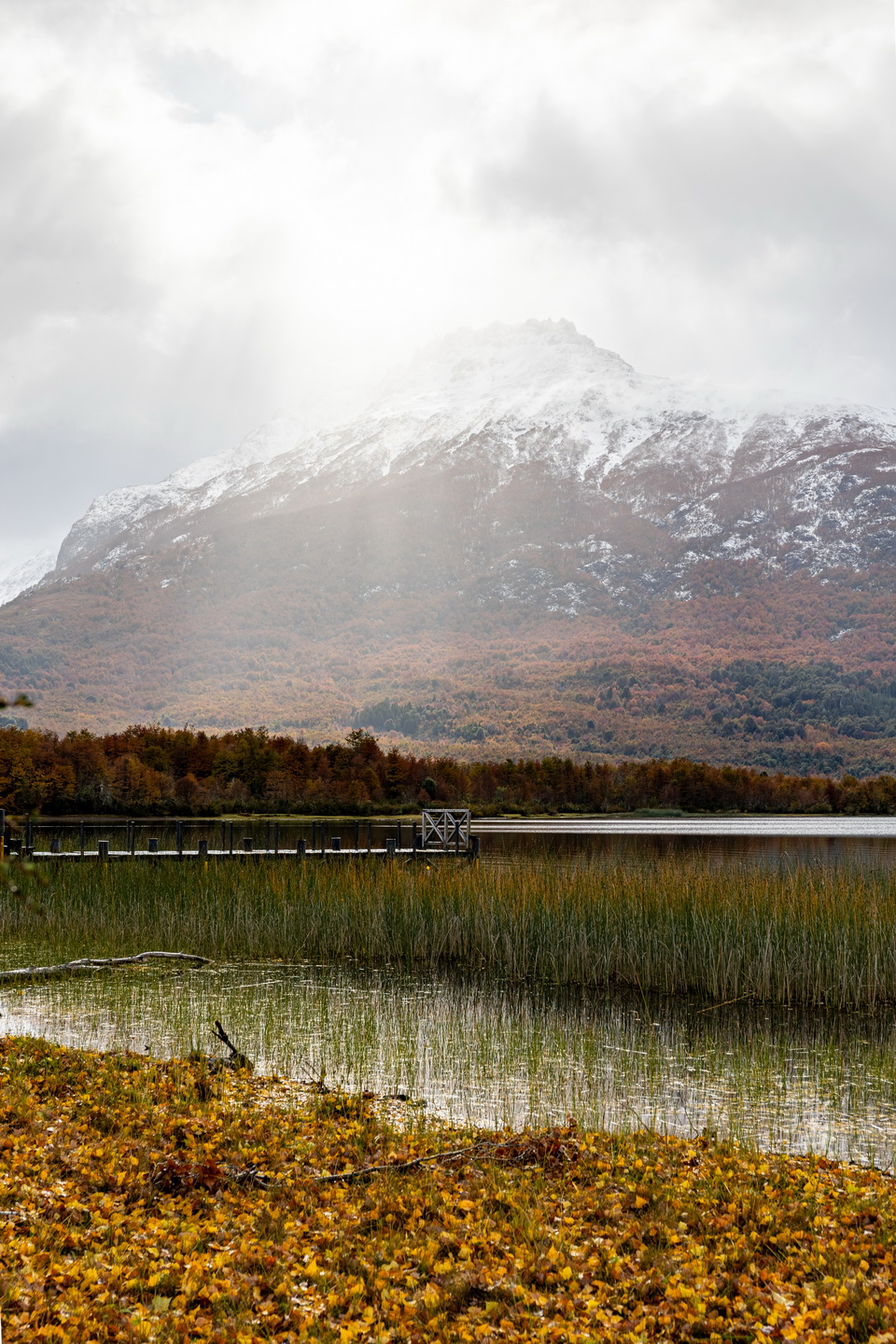 Bariloche – Argentina (2024)